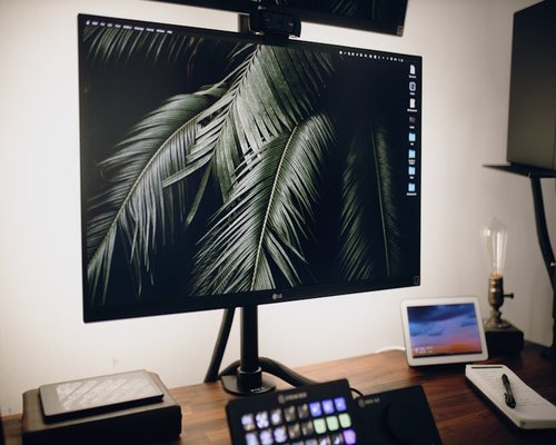 A home office setup showing a well lit desk and a plant